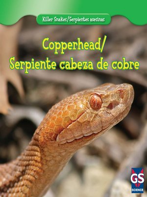 cover image of Copperhead / Serpiente cabeza de cobre